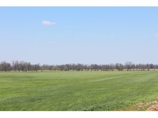 Property photo 32 - OKLAHOMA LAND AUCTION, 550+/- Acres offered in 7 Tracts